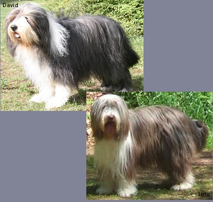 Lotta und Moritz werden heiraten